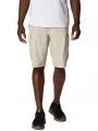pantaloni scurti pentru drumetii pt. barbati Columbia Silver Ridge Cargo Short nisip 1