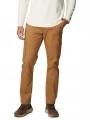 pantaloni de strada pt. barbati Columbia Pacific Ridge Cargo Pant maro 1