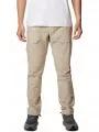 pantaloni de strada pt. barbati Columbia Cobble Creek Utility Pant nisip 1