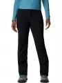 pantaloni de drumetie pt. femei Columbia Back Beauty Passo Alto III Pant negru 1
